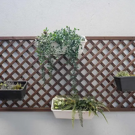 Apartament Liiiving In - Delight Terrace Porto